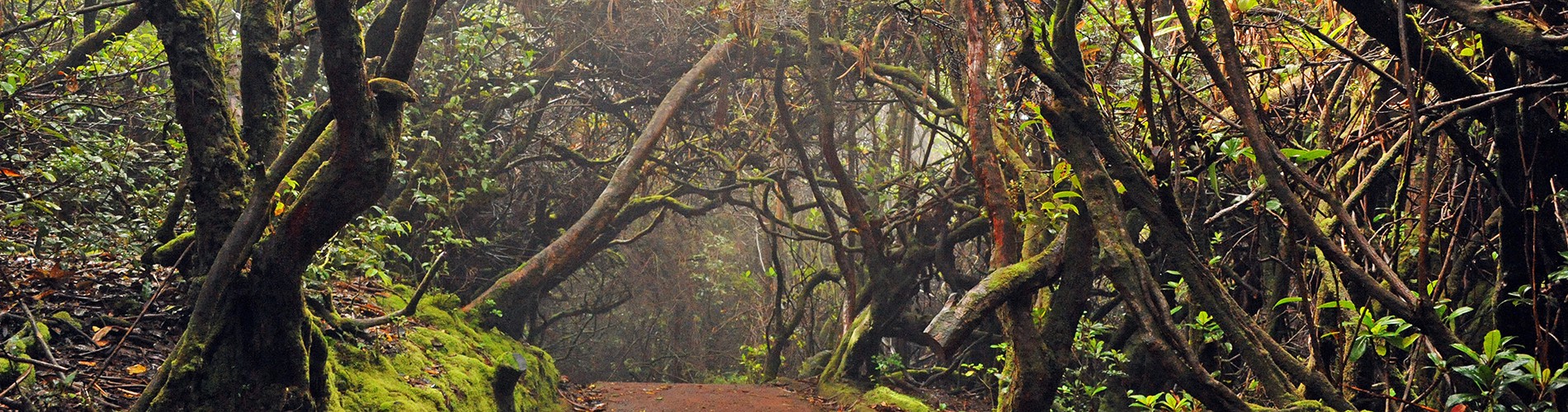 THE POAS VOLCANO NATIONAL PARK