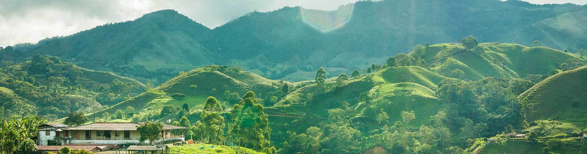 WHY VISIT THE COFFEE TRIANGLE OF COLOMBIA?