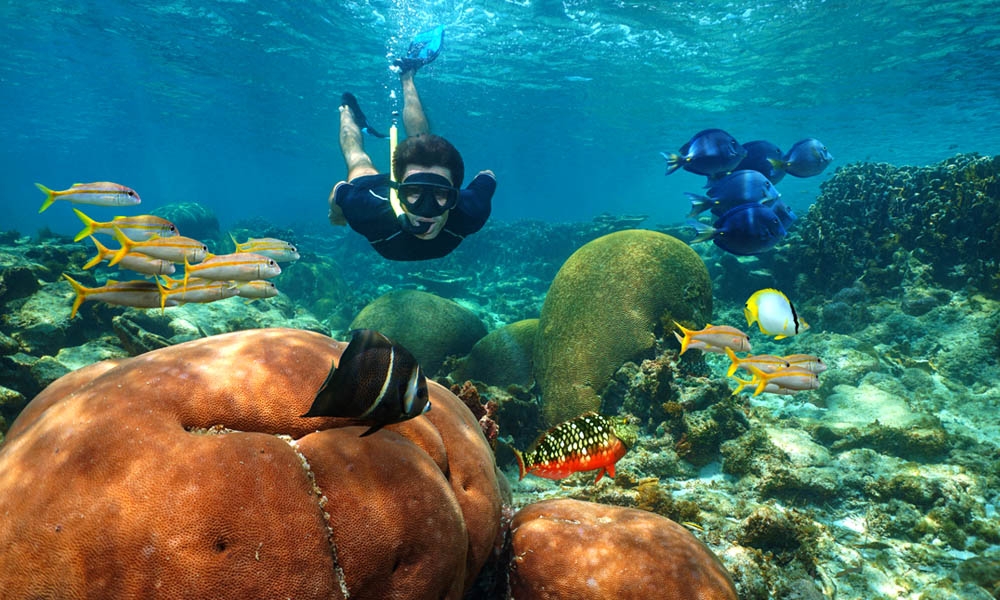 Barrier Reef System excursion