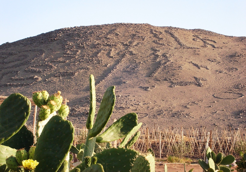 Day 01 -  Arica - Cerro Sagrado Geoglyphs - San Miguel de Azapa - Codpa