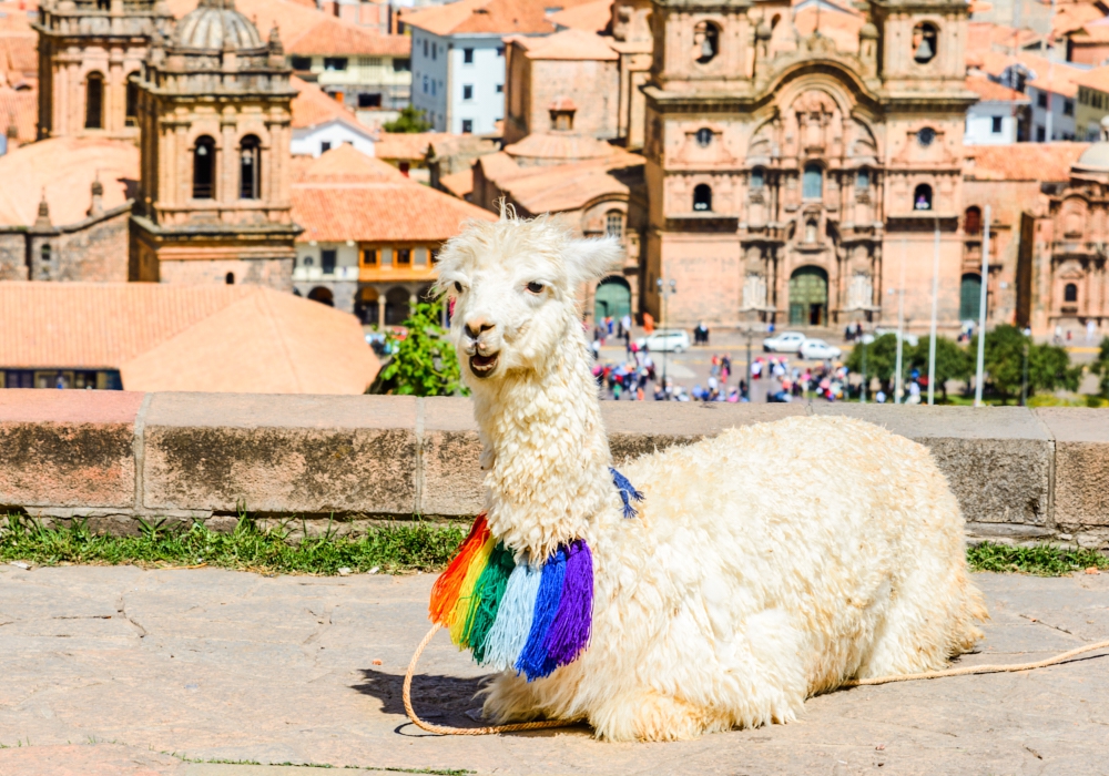 Day 01 - Arrival to Cusco