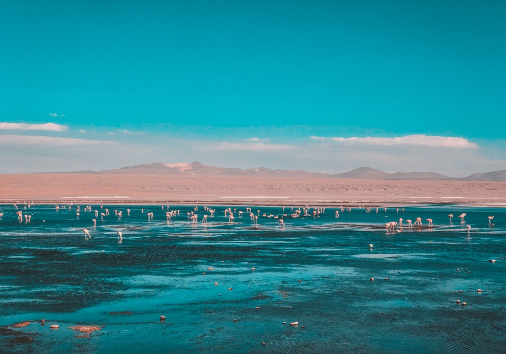 Day 02 - Uyuni Salt Flats