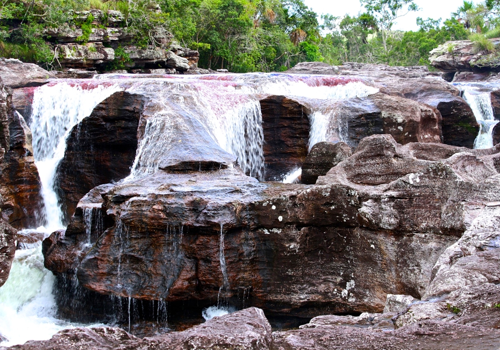 DAY 03 - Caño Cristales