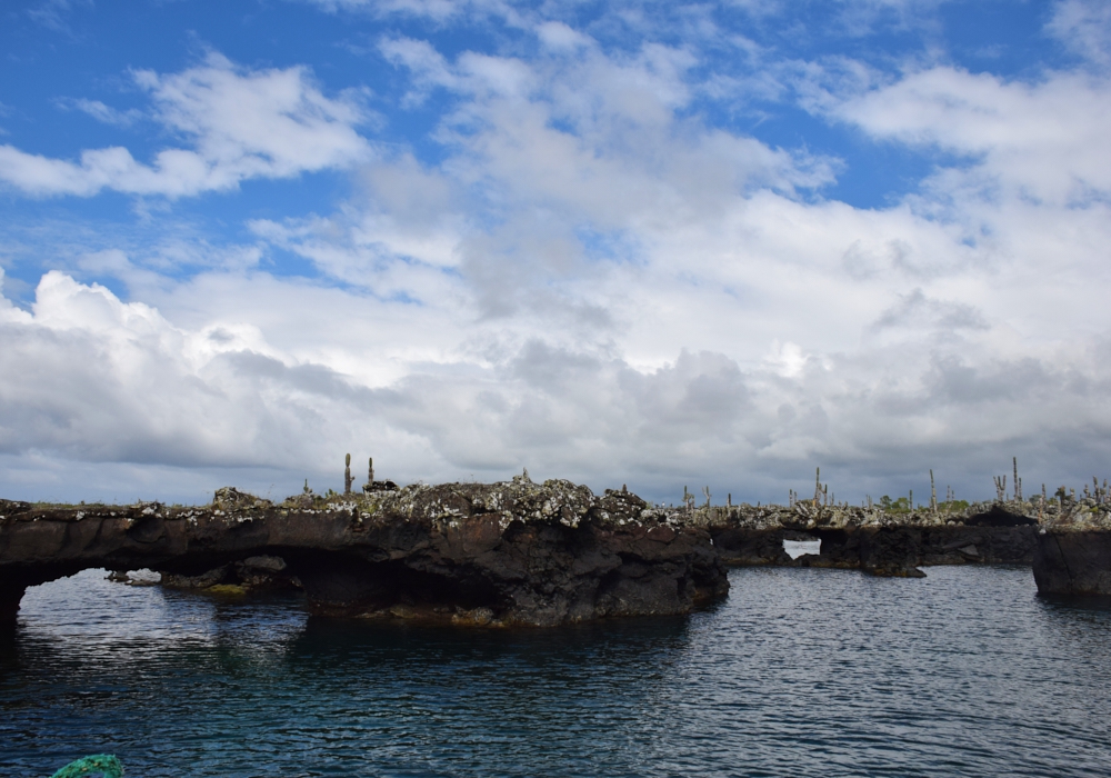 Day 04 - Galapagos - Isabela Island