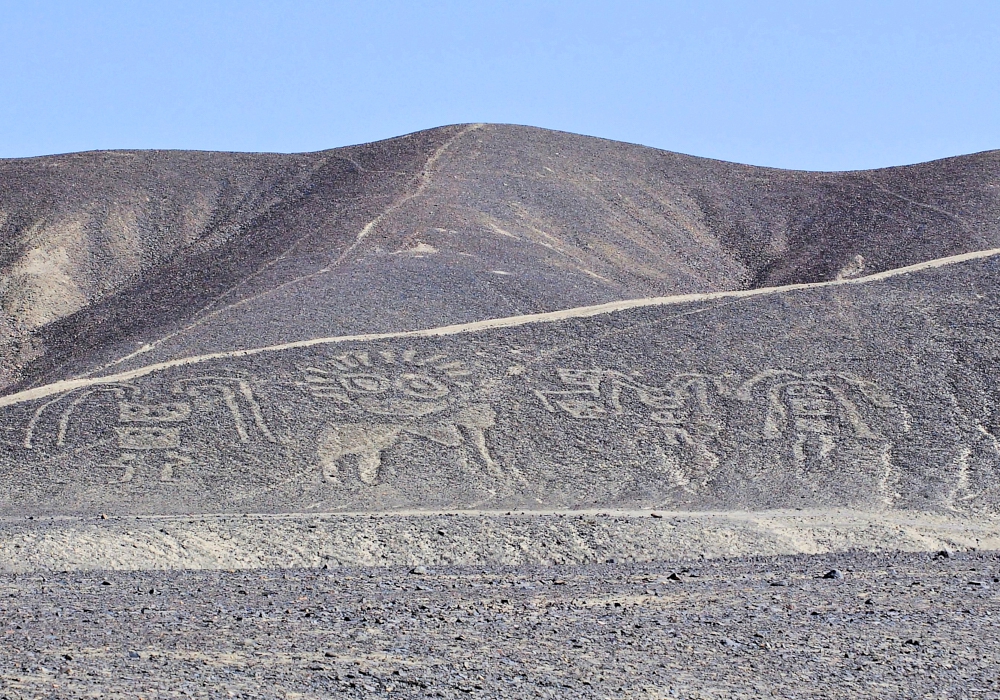 Day 04 - Nazca / Chauchilla Cemetery / Arequipa   Optional: Overflight Nazca Lines