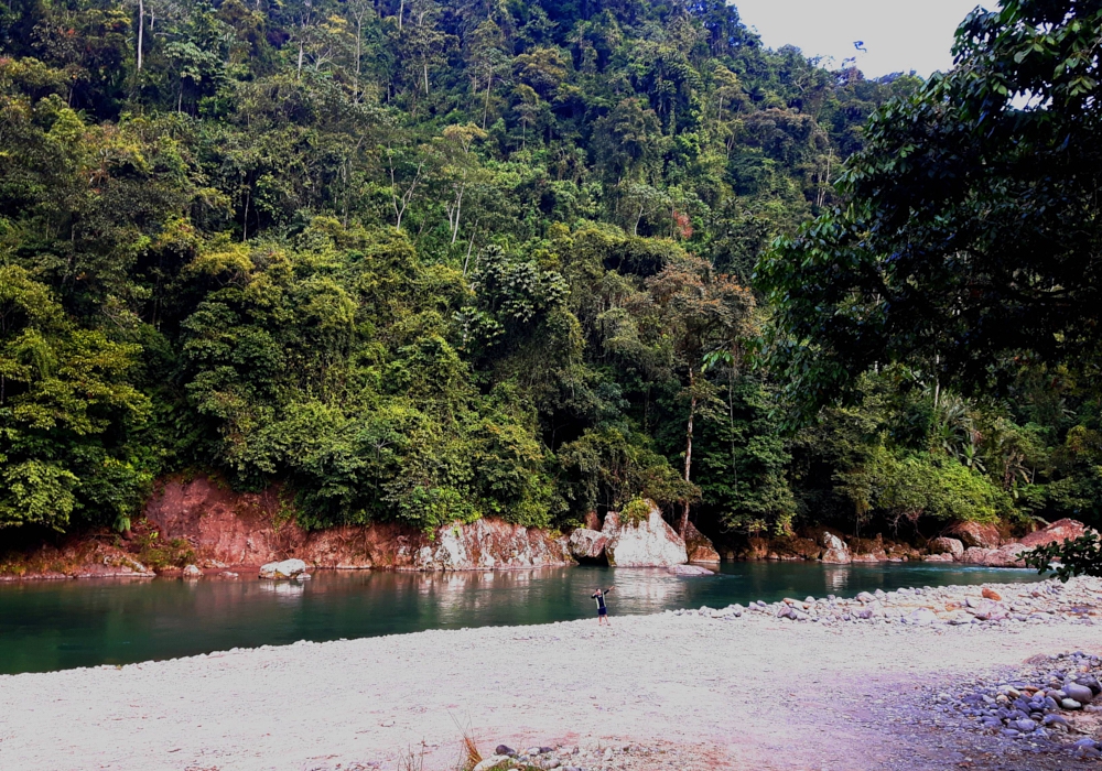 Day 04 - Pacaure River