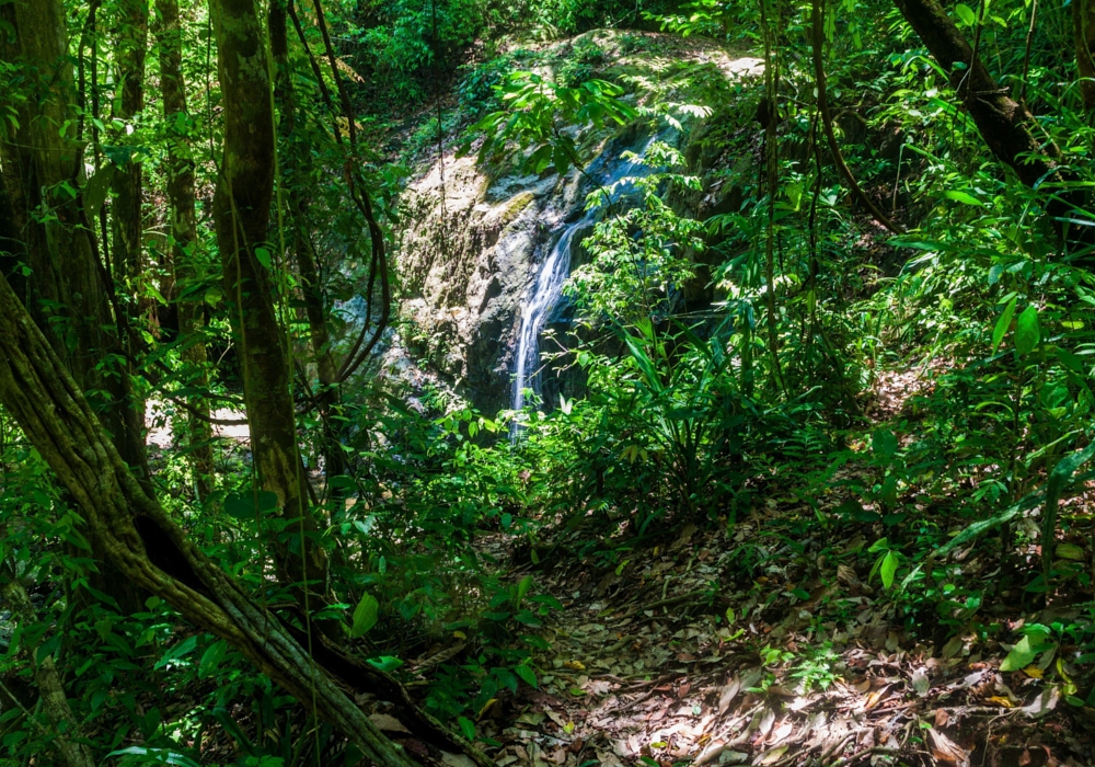 Day  04 - Tocori Mountain & Waterfall tour