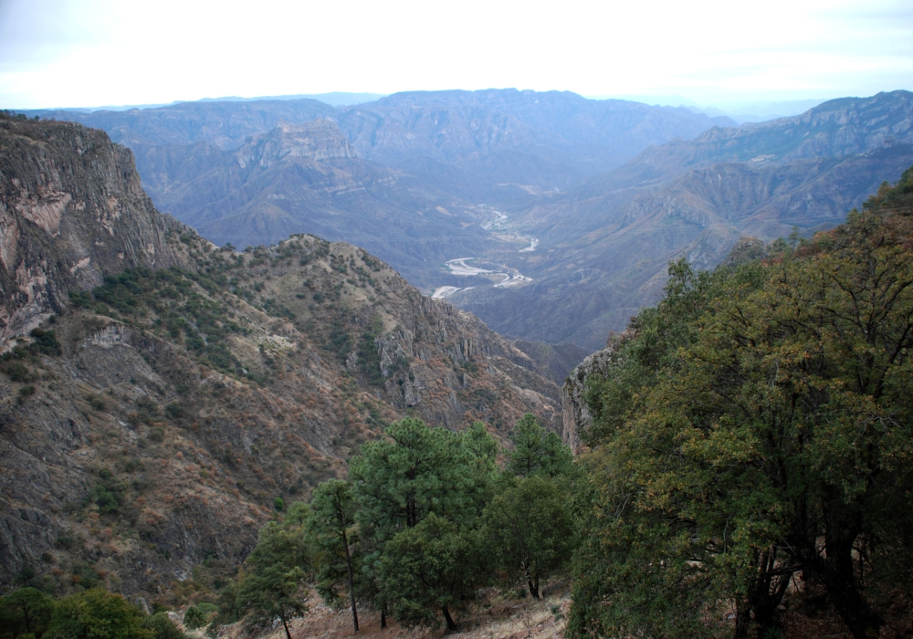 Day 05 -  Batopilas Canyon