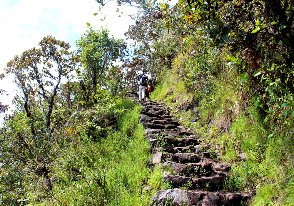 Day 05 - Short Inca Trail to Machu Picchu