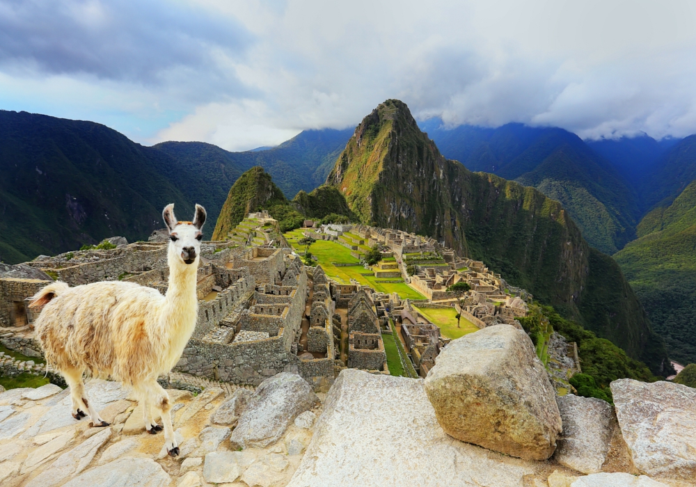 Day 06 - Aguas Calientes – Cusco Visit to Machu Picchu