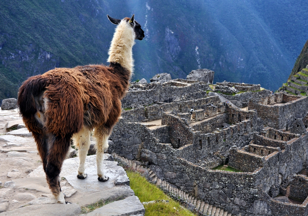 Day 06- Aguas Calientes – Cusco   Visit to Machu Picchu