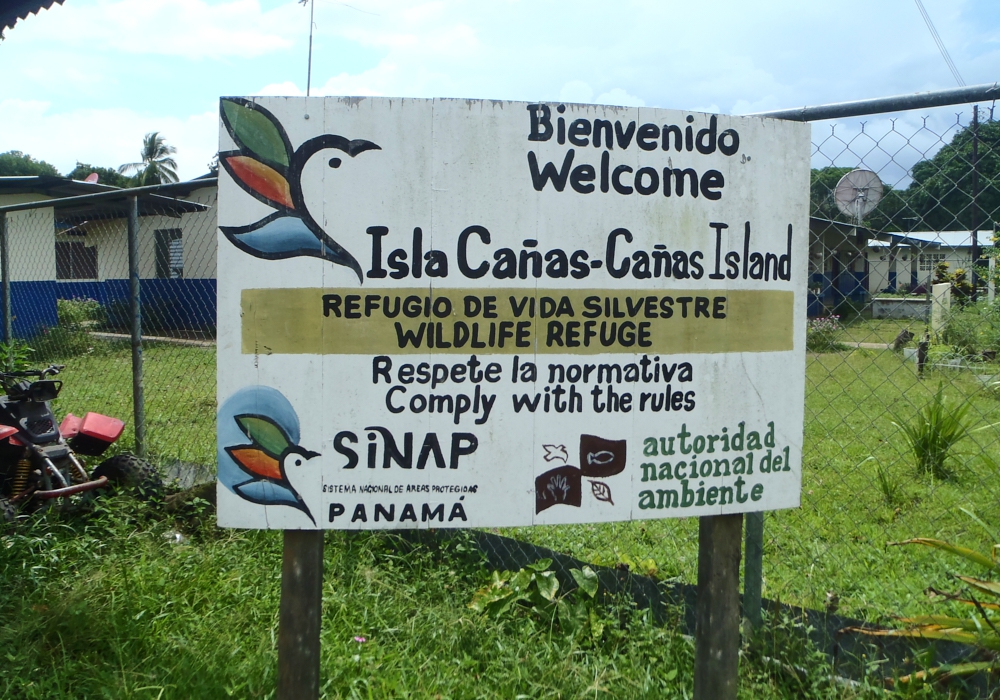 DAY 06 - Isla Cañas
