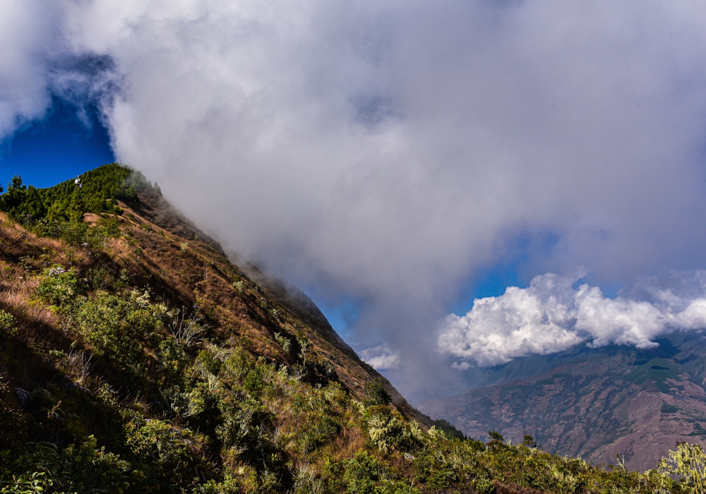 Day 06 - Vilcabamba Trek from Nogalpampa to Yanatile
