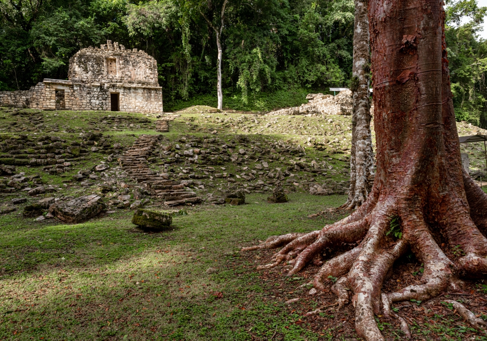 Day 06 - Yaxchitlan Maya Ruins