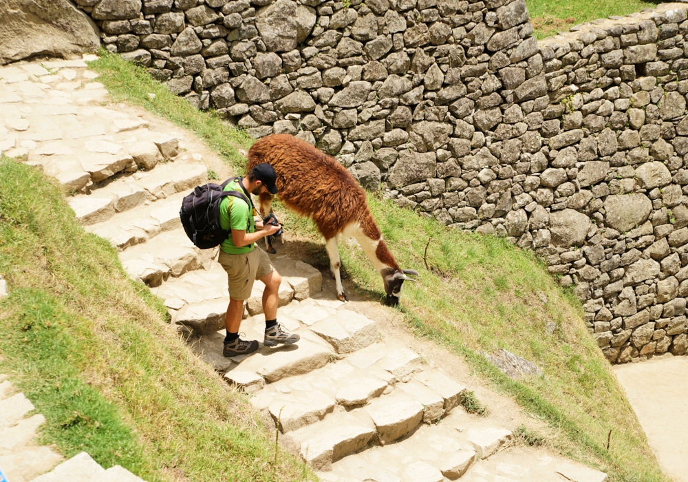 Day 07 - Aguas Calientes – Visit to Machu Picchu - Cusco