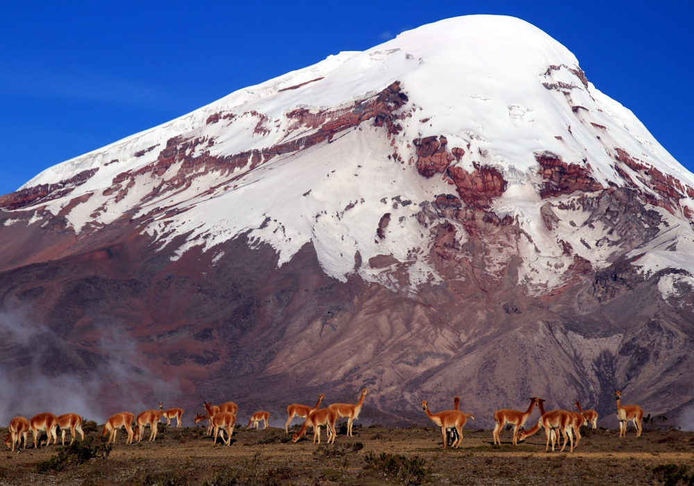 Day 07 - Chimborazo Volcano