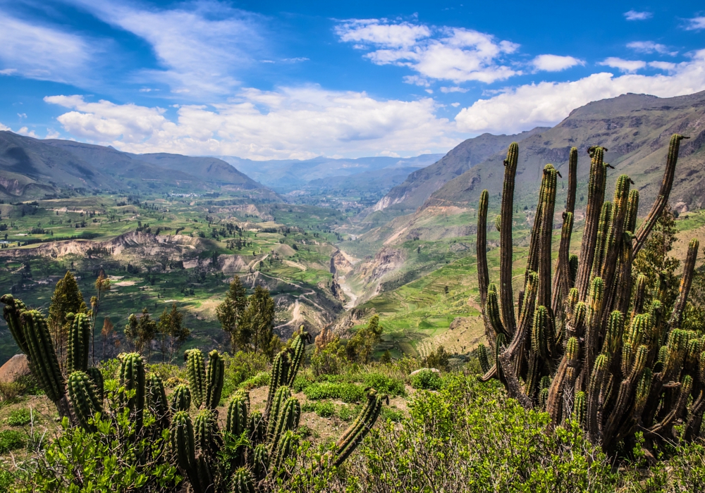 Day 07 - Colca – Puno  - Time to visit the home of the condor!