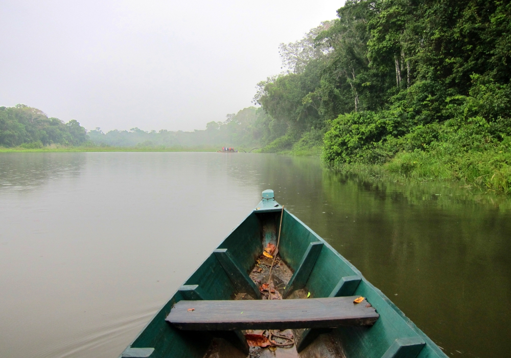 Day 07- Manaus Amazon Jungle