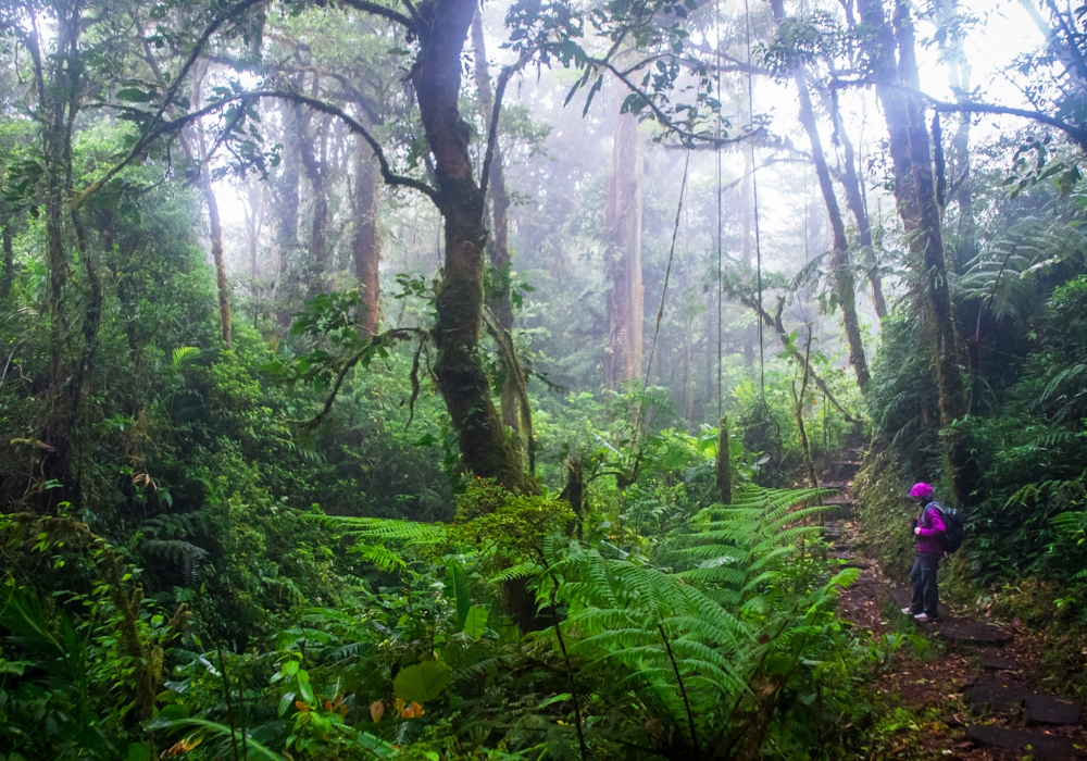 Day 07 – Monteverde Cloud Forest