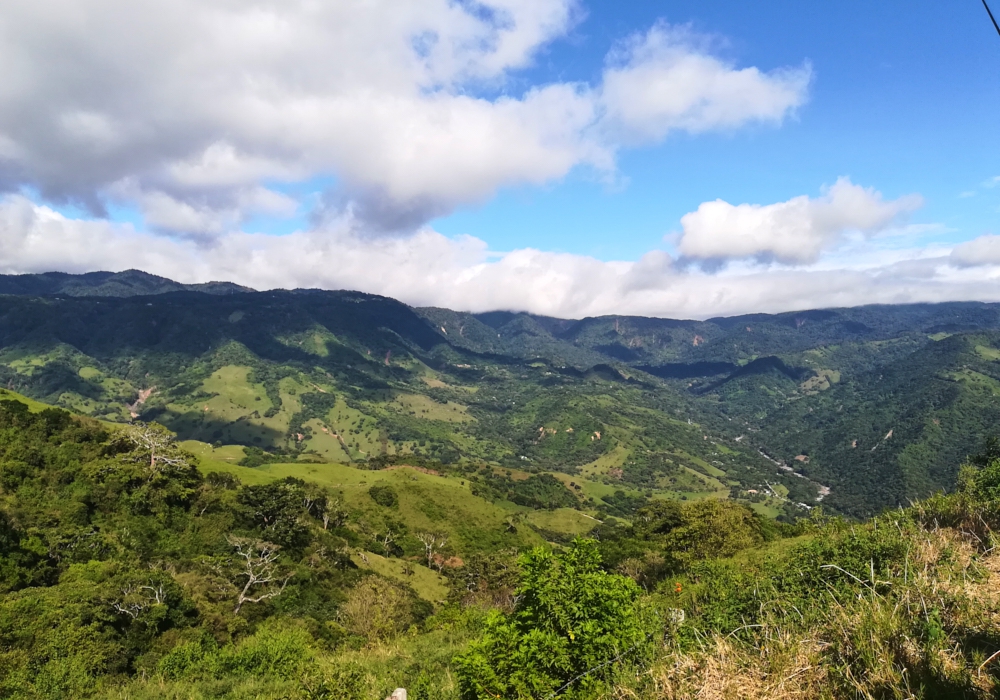 Day 07 - Monteverde Cloud Forest