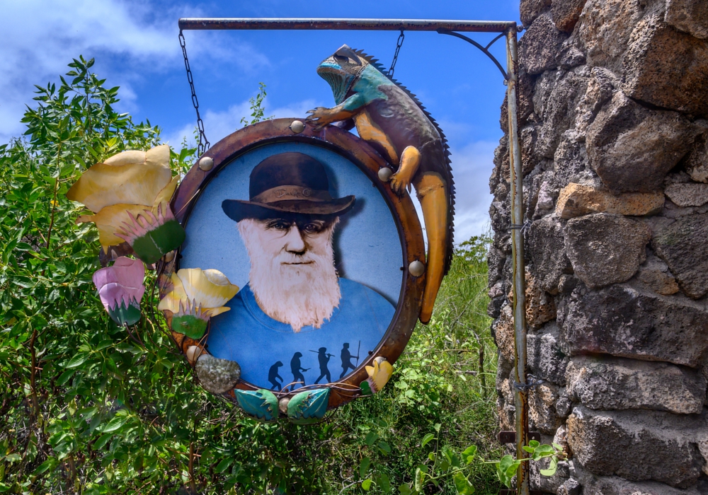 Day 07 - Santa Cruz Island and The Charles Darwin Research Station