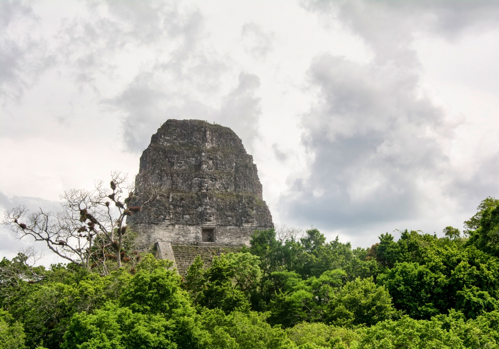 Day 07- Tikal National Park