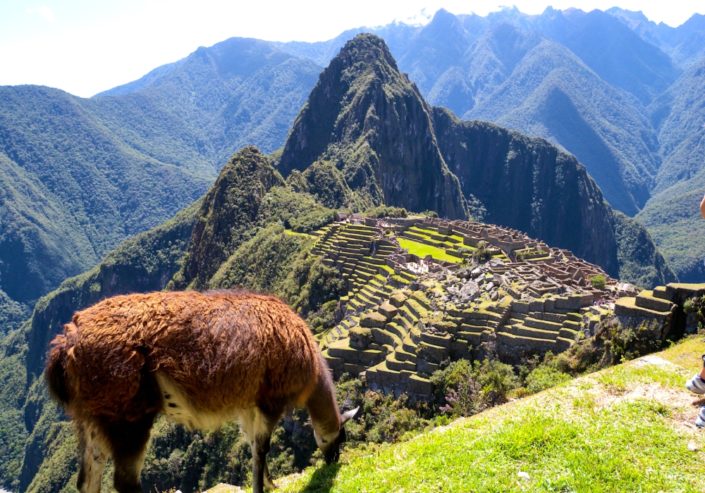 Day 08 - Aguas Calientes – Cusco   Visit to Machu Picchu