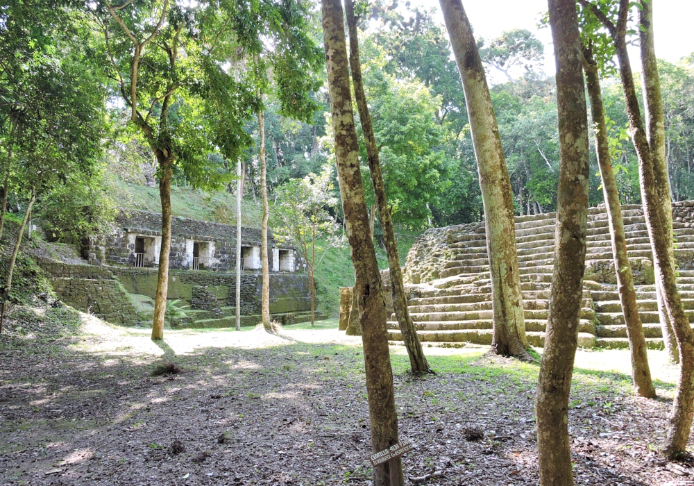 Day 08 - Yaxha -Tikal National Park