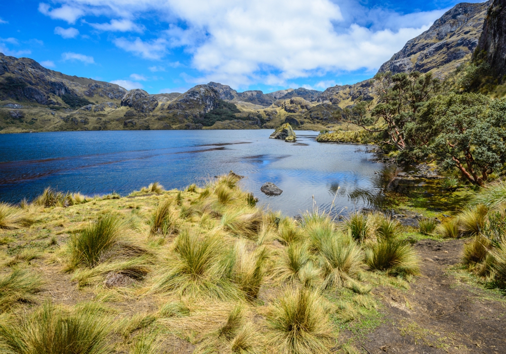 Day 09 - Cajas National Park and Guayaquil