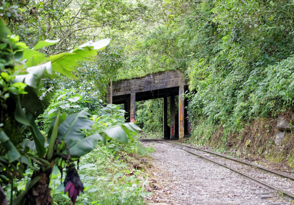 Day 10 - Vilcabamba Trek to Mandor