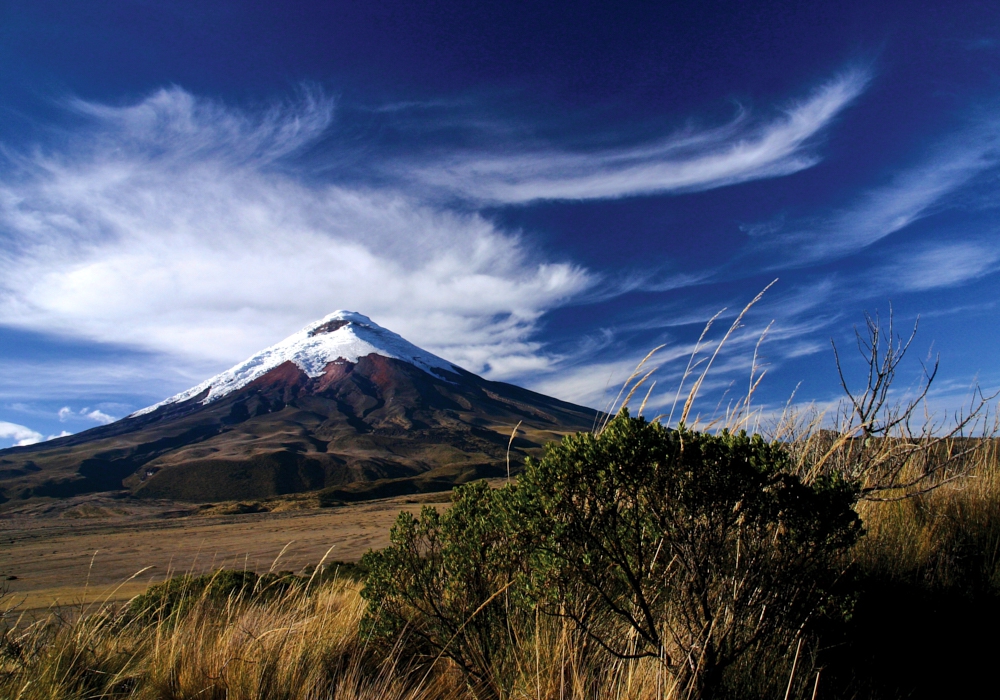 Day 11 - Cotopaxi National Park