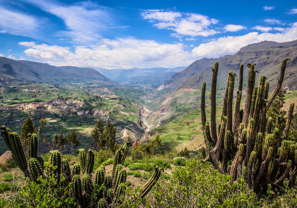Day 12 - Colca – Arequipa   Time to visit the home of the condor!