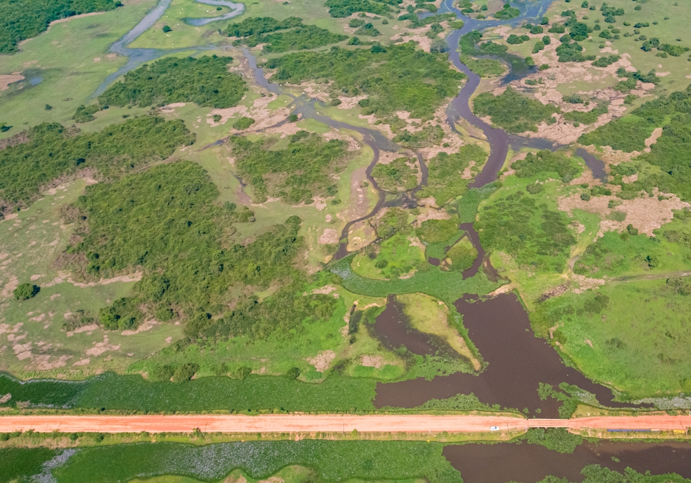 Day 13 - Belem - Cuiaba - Pantanal