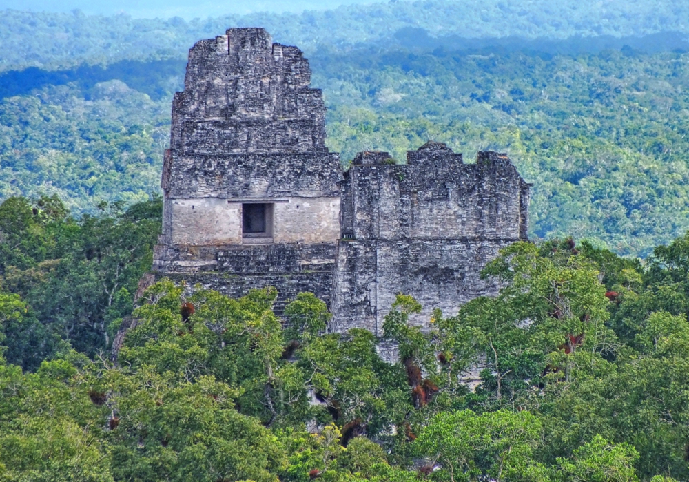 Day 13 - Tikal National Park