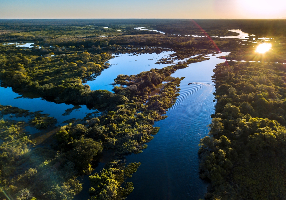 Day 14 – Pantanal