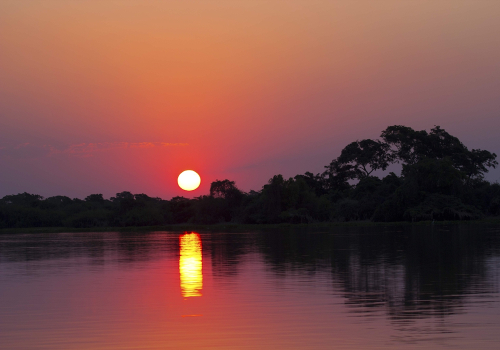 Day 14 – Pantanal