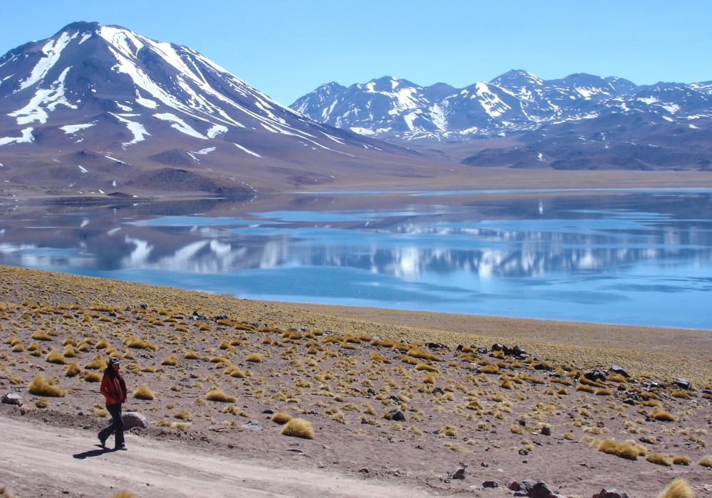Day 6 - San Pedro de Atacama – Altiplanic Lagoons – San Pedro de Atacama