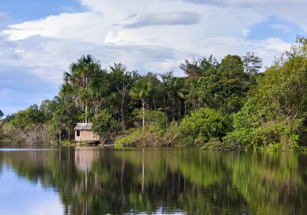Day 7- Manaus Amazon Jungle