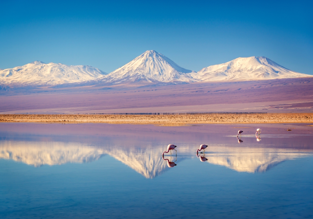 Day 7 - San Pedro de Atacama – Tatio Geysers – San Pedro de Atacama - Calama