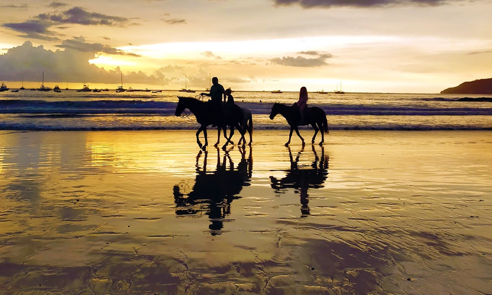 Tamarindo Evening horsing
