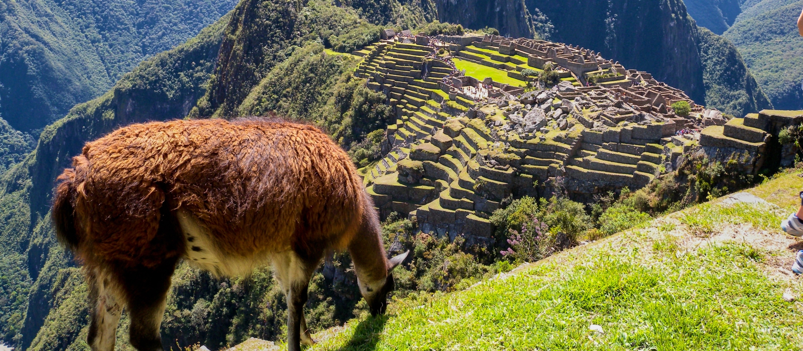 3 Day Machu Picchu Express