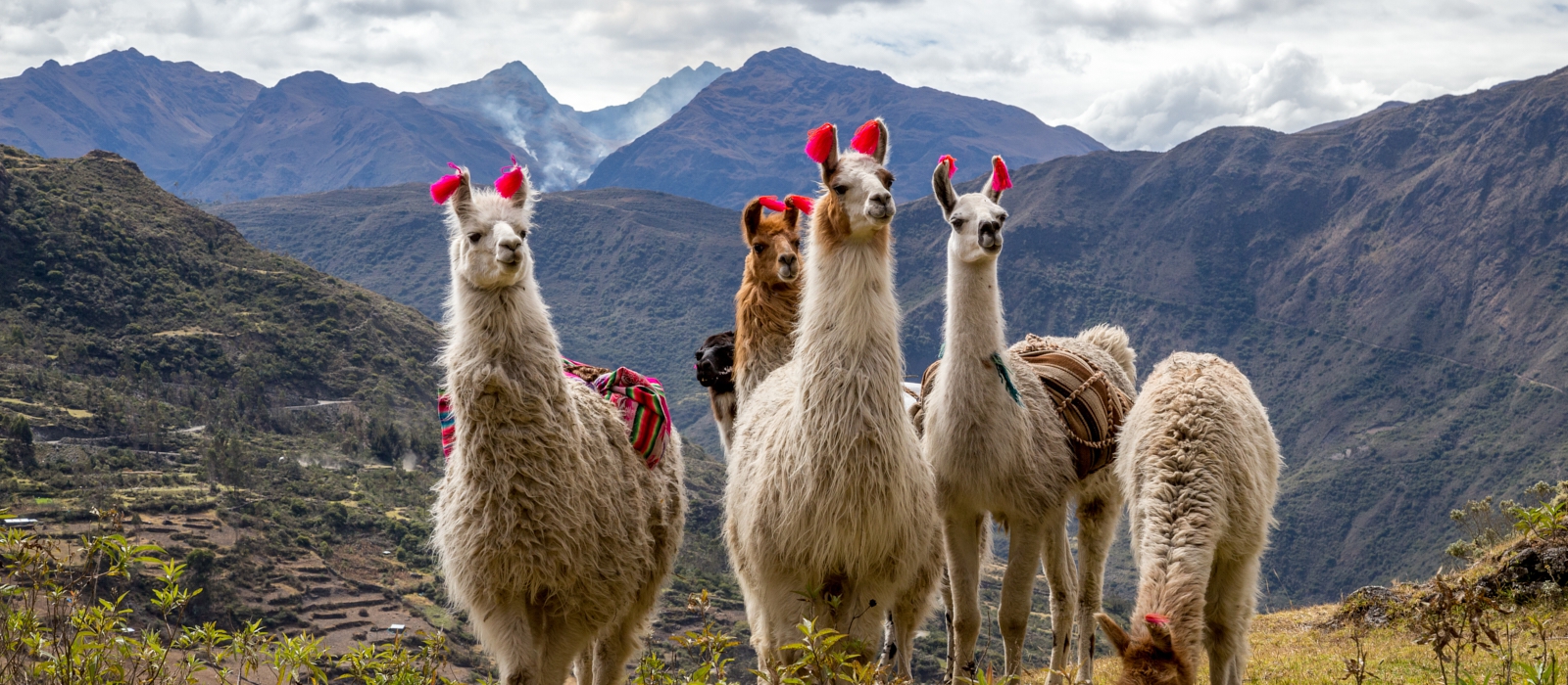 7 Day – Lares Trek & Machu Picchu