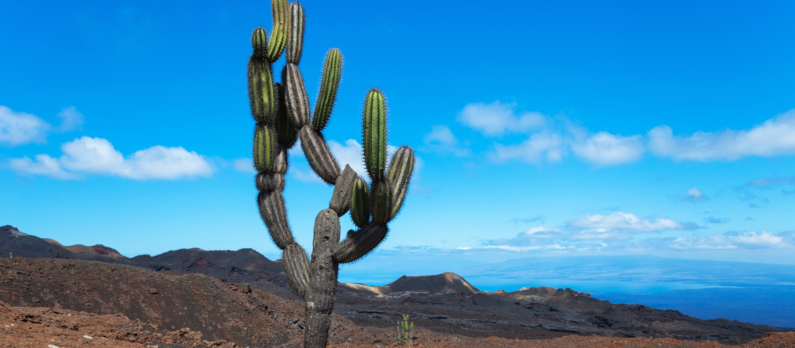 8 DAY LUXURY GALAPAGOS ESCAPE