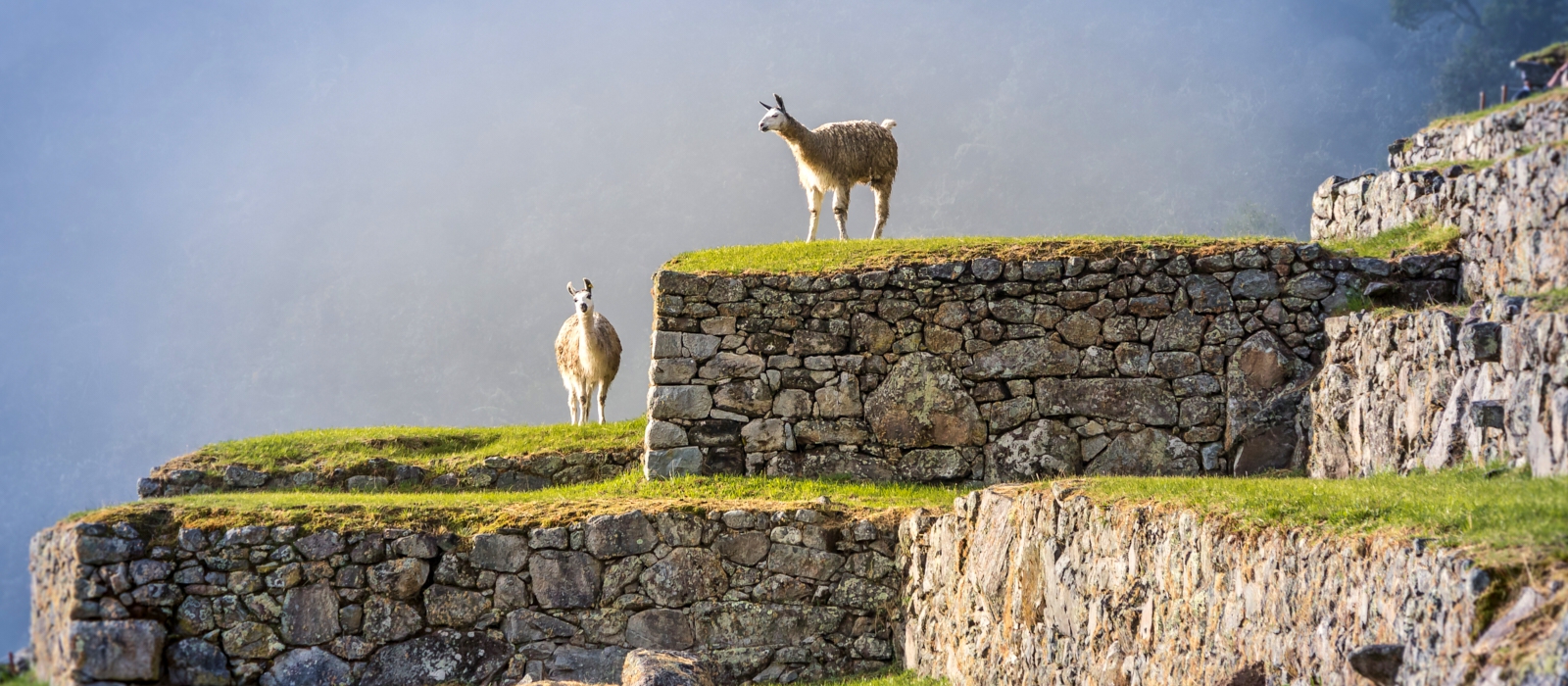 9 Day – The Best of Peru
