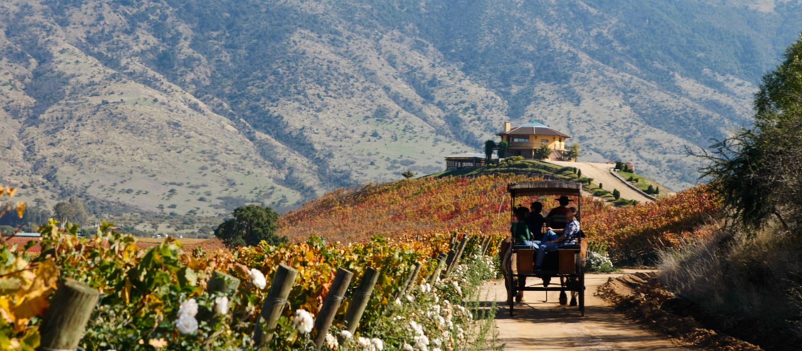 Classic Northern Chile and the Central Wine Valley
