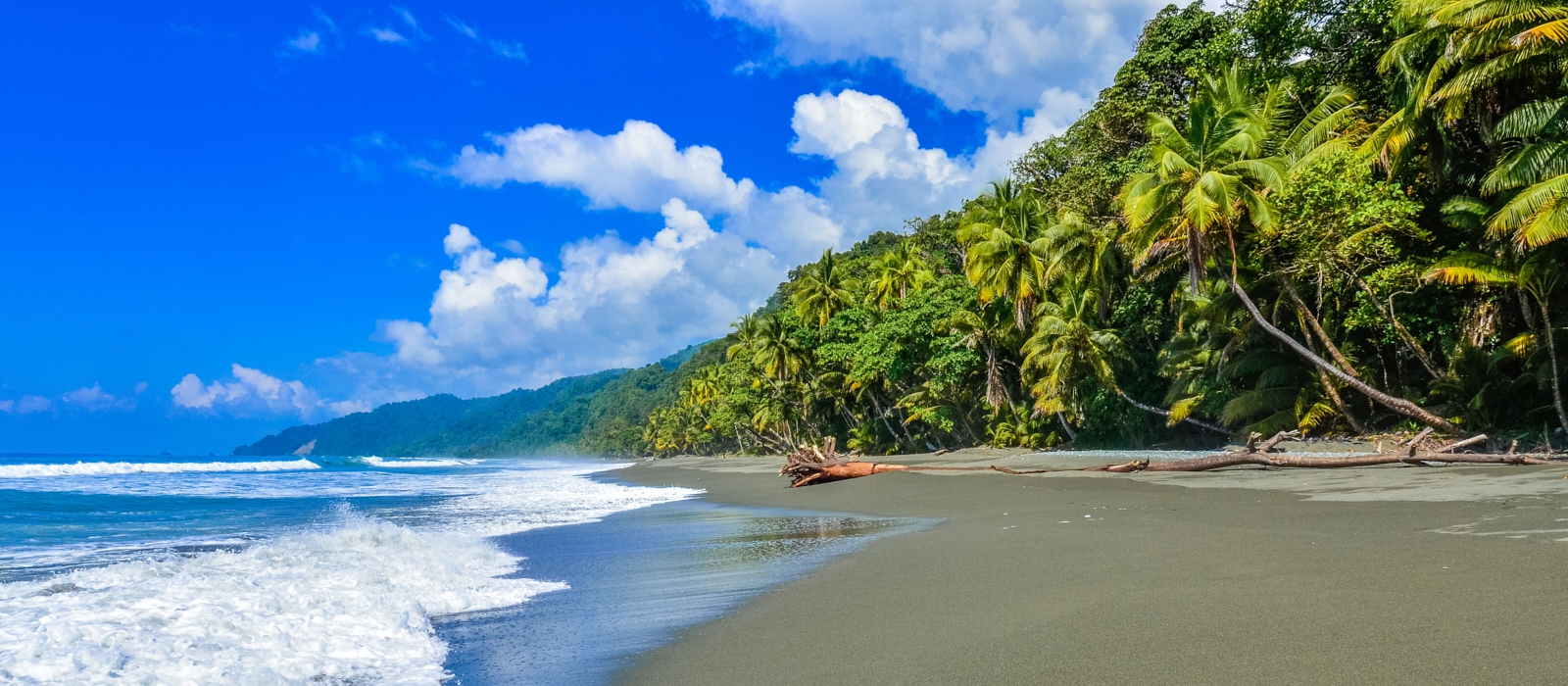 Luxurious Ecology- Costa Rica