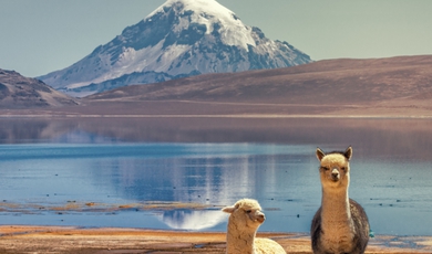 6 Day Chilean Altiplano And Andes