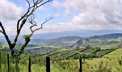 National park of the Barú volcano